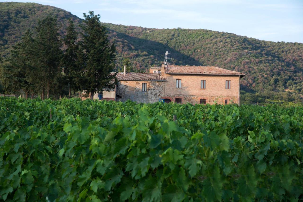 Villa Luce Di Vino Montalcino Exterior foto